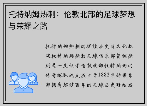 托特纳姆热刺：伦敦北部的足球梦想与荣耀之路