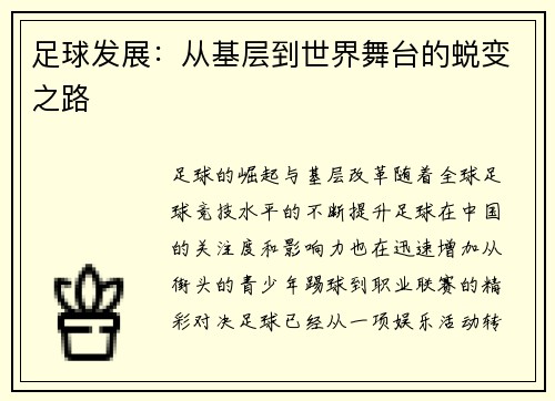足球发展：从基层到世界舞台的蜕变之路